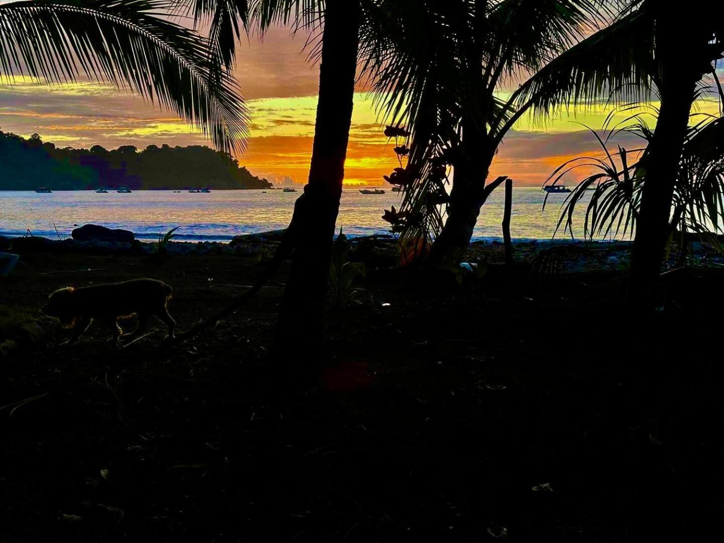 Beach House Drake Bay Ngoại thất bức ảnh