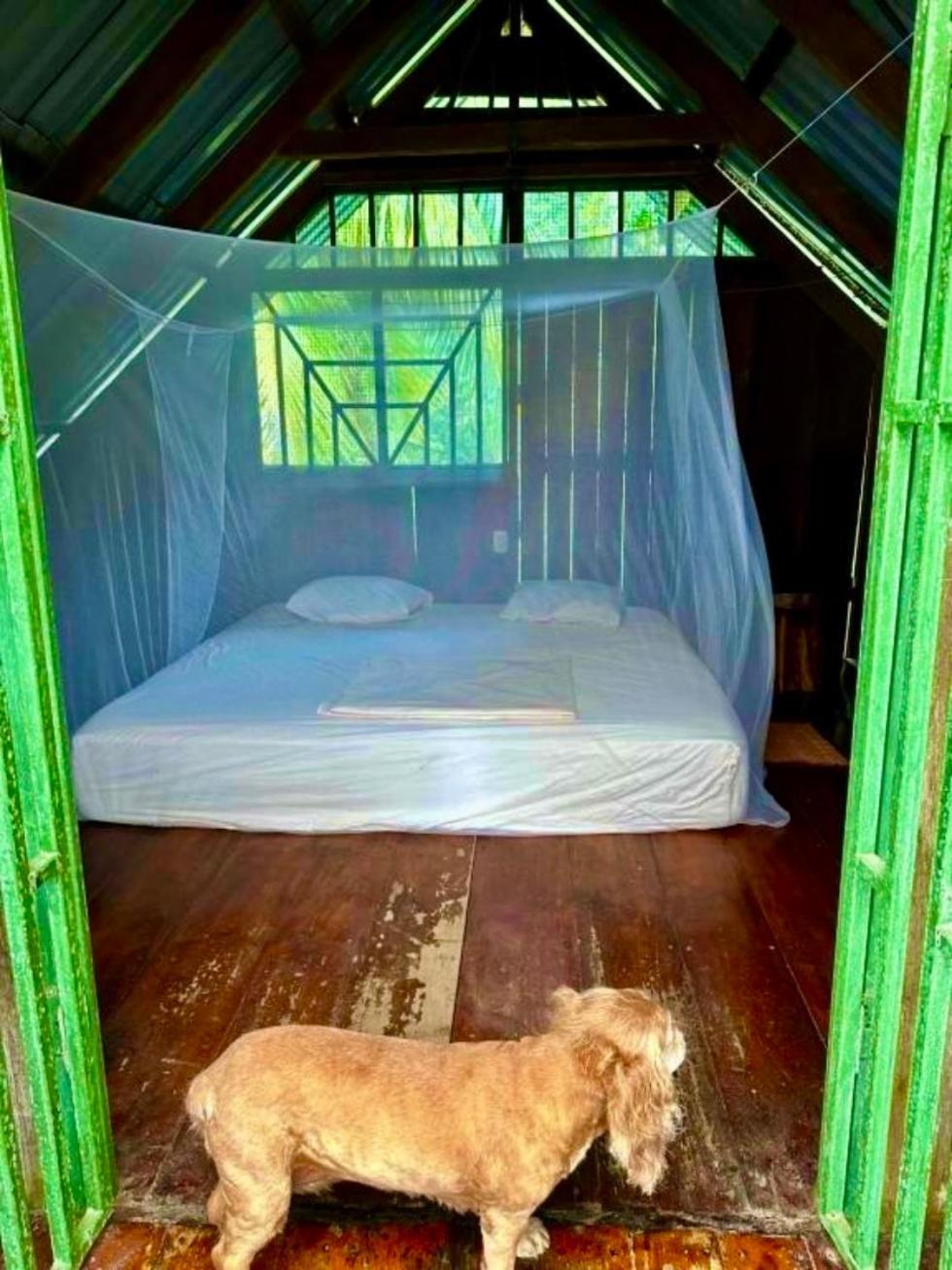 Beach House Drake Bay Ngoại thất bức ảnh