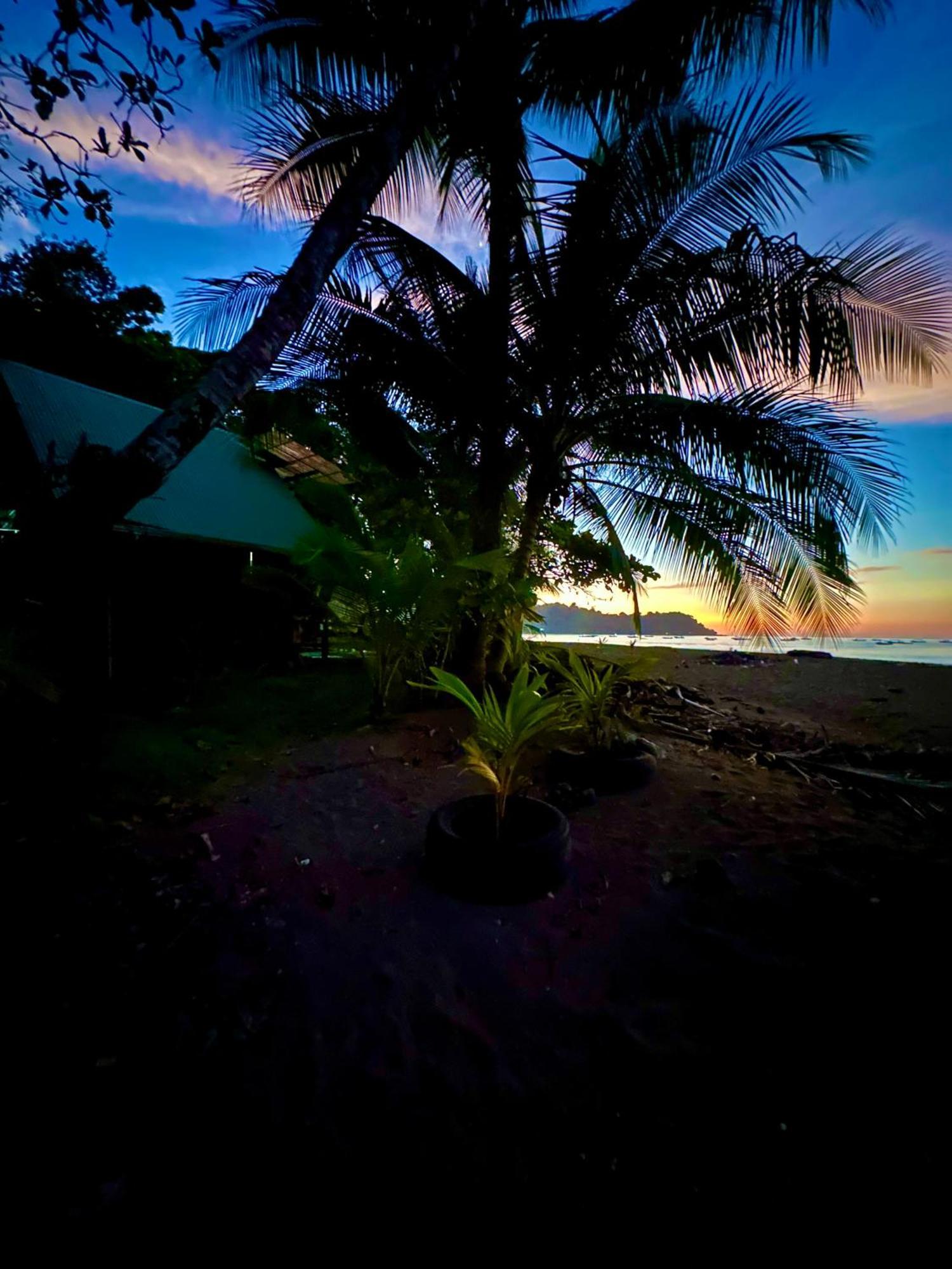 Beach House Drake Bay Ngoại thất bức ảnh